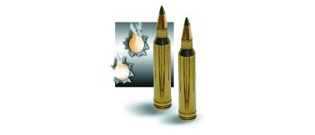 ammo_lead.jpg
