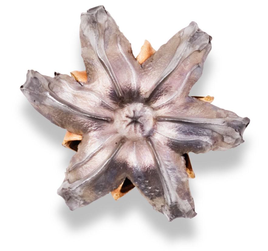 9mm Federal Law Enforcement 147 Grain Tactical HST Ammo (50rds)