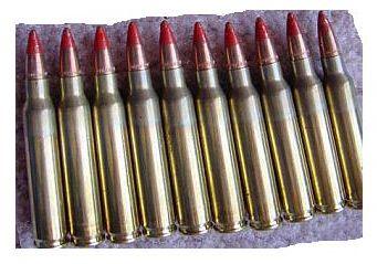 .223/5.56 Red Tracer Ammo-10 Rounds